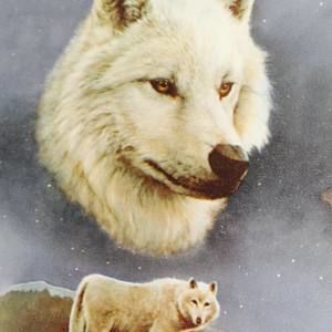 Meet your Posher, Phyllis